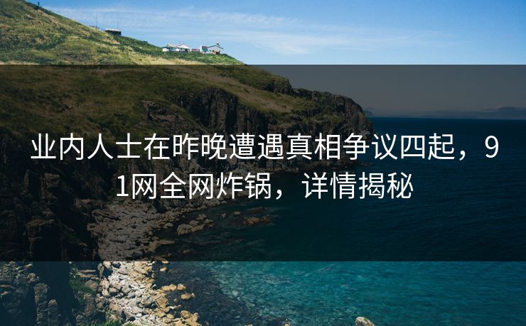 业内人士在昨晚遭遇真相争议四起，91网全网炸锅，详情揭秘