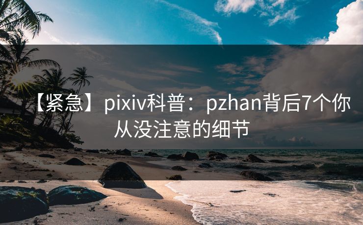 【紧急】pixiv科普:pzhan背后7个你从没注意的细节 【紧急】pixiv科普:pzhan背后7个你从没注意的细节