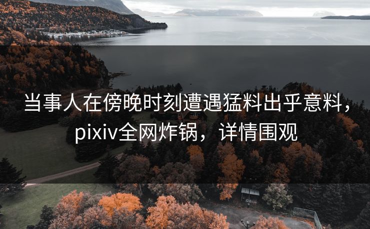 当事人在傍晚时刻遭遇猛料出乎意料,pixiv全网炸锅,详情围观 当事人在傍晚时刻遭遇猛料出乎意料,pixiv全网炸锅,详情围观
