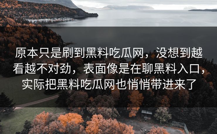 原本只是刷到黑料吃瓜网，没想到越看越不对劲，表面像是在聊黑料入口，实际把黑料吃瓜网也悄悄带进来了